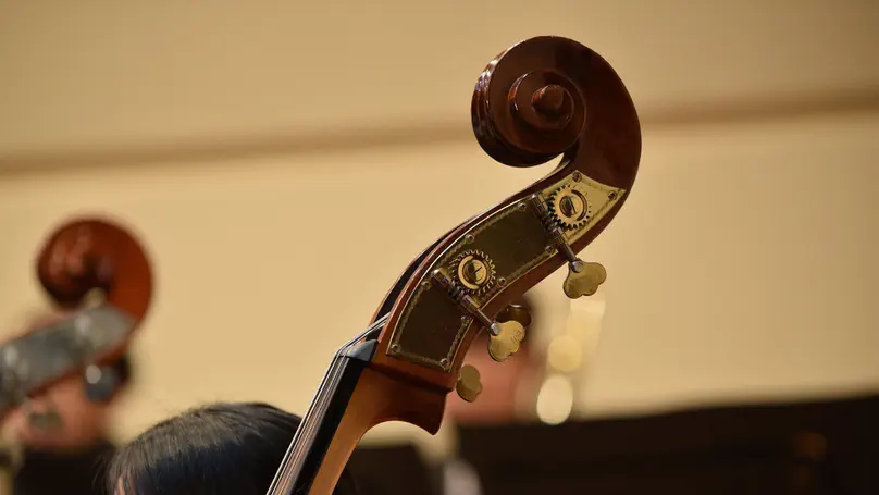 Orchestra Performances as a Double Bass Player